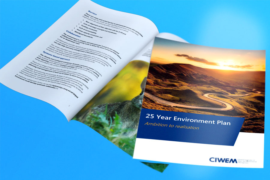 CIWEM Publish Their Review Of The 25 Year Environment Plan – Ambition To Realisation